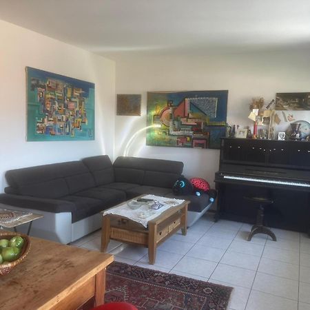 Casa Landoni Apartment Mendrisio Bagian luar foto